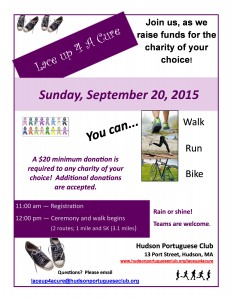 2015 LU4AC walk poster